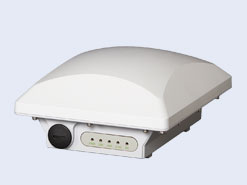 ZoneFlex T301s