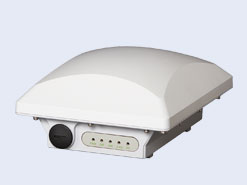 ZoneFlex T301n
