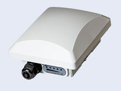 ZoneFlex P300